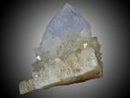 Cactus Quartz Crystals - South Africa #33914-1